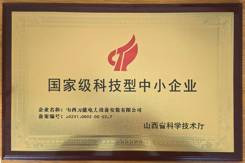 国家级科技型中小企业